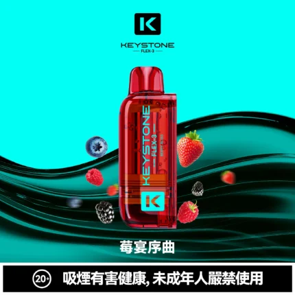 鑰石 KEYSTONE FLEX-325000口煙彈透明油倉主機｜透明油倉可視油量 雙模主機